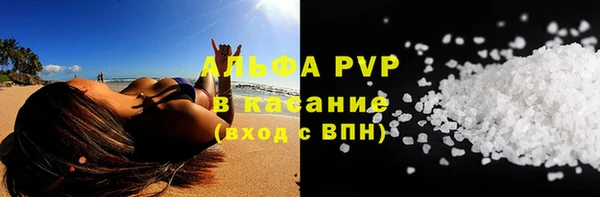 стаф Зеленокумск