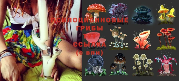 трава Зеленодольск