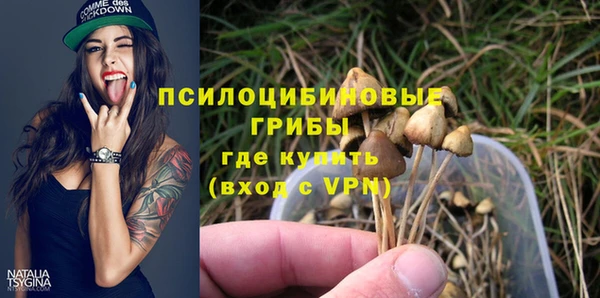 хмурый Домодедово